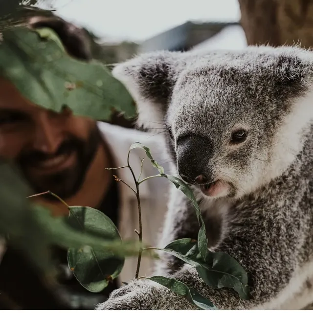 Outlook for 2024: the rise and rise of experiential travel