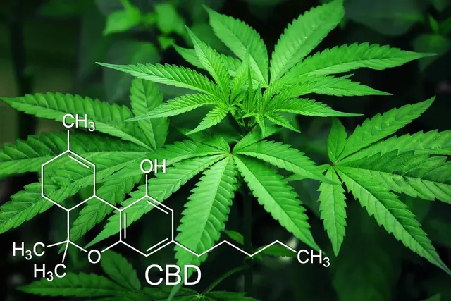Why Hotels Can't Ignore the Cannabis Boom