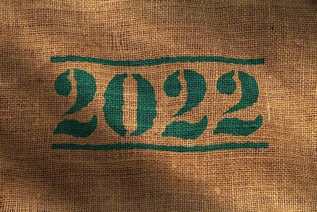 Review of 2022: The biggest stories in hospitality investment